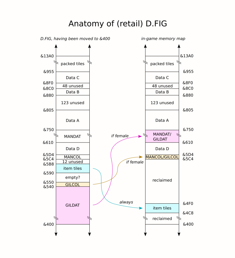 Retail D.FIG Anatomy